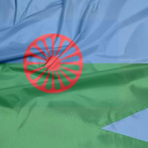 Curso Universitario de Especialización en Intervención Psicosocial con Población Gitana y Prevención del Antigitanismo