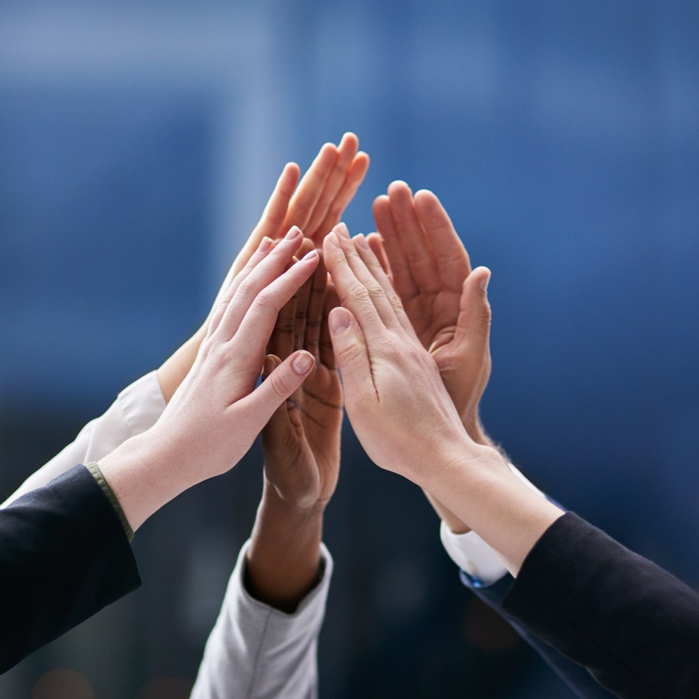 Curso en Cohesión, Motivación y Reconocimiento de Equipos
